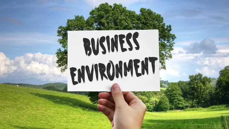 Understanding the Business Environment